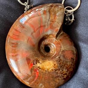 Gleaming Irridescent Ammolite Fossil Pendant 925 Sterling 28” - Amy Kahn Russell